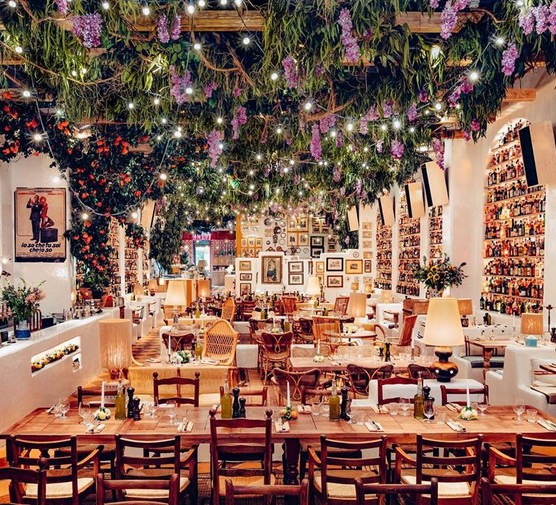 Interiors of Circolo Popolare Fitzrovia wooden tables in bottled-lined walls with foliage hanging from the ceiling