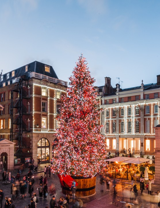 Covent Garden Christmas tree at night
