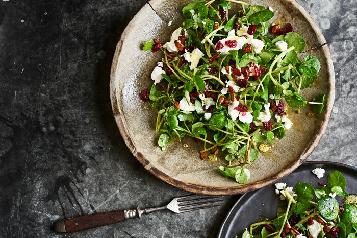 Goats Chesse and Cranberry Salad